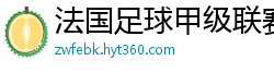 法国足球甲级联赛